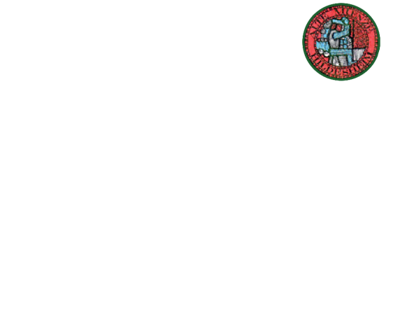 Alte Münze Logo